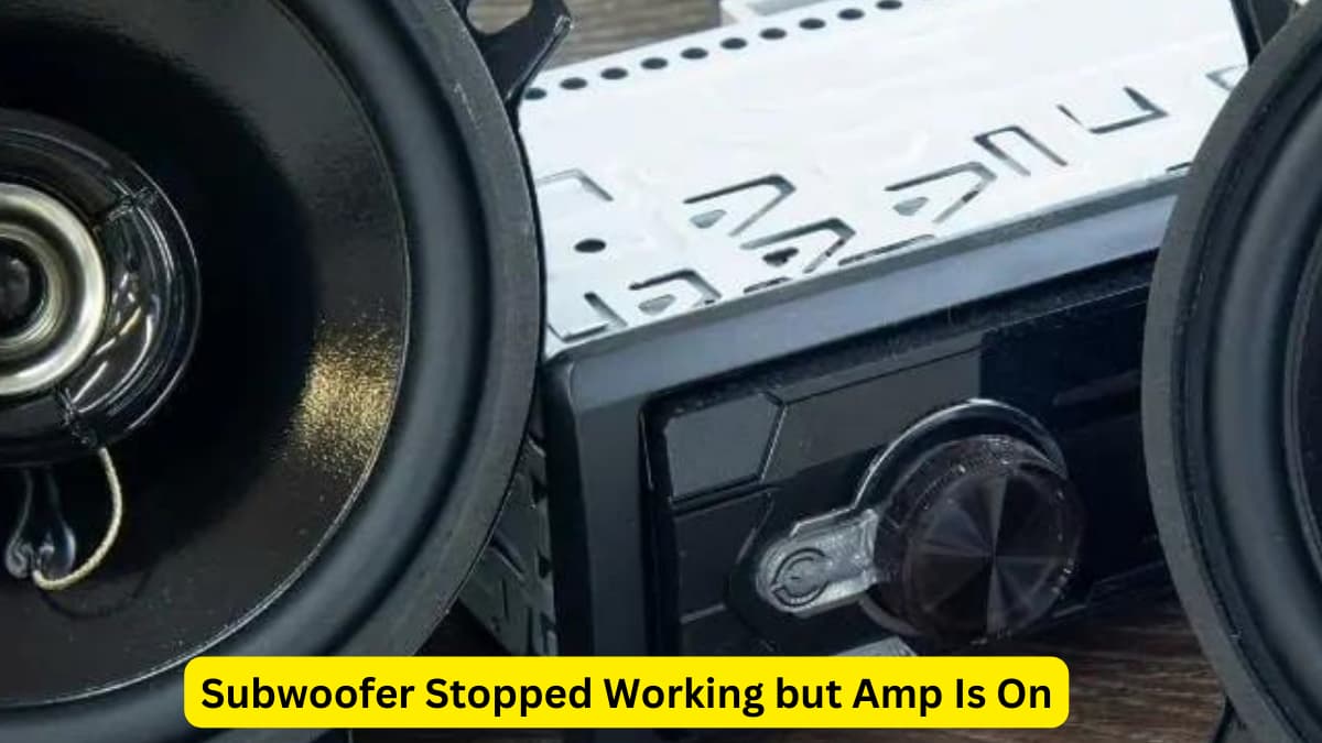 Subwoofer Stopped Working but Amp Is On
