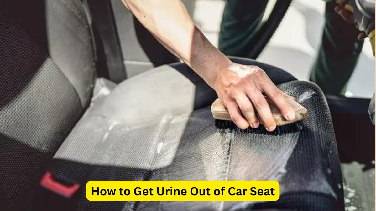 How to Get Urine Out of Car Seat
