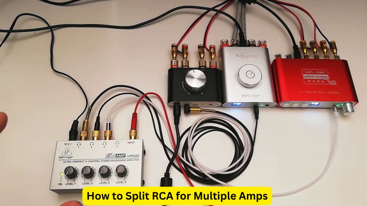 How to Split RCA for Multiple Amps